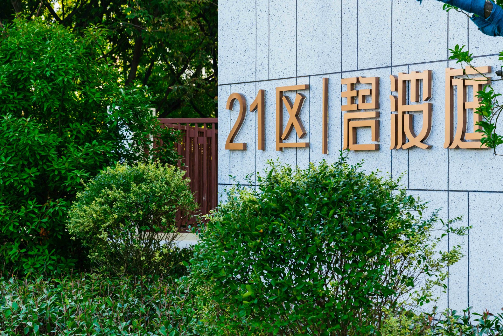 實景圖