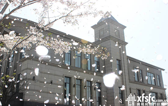 2710021132e4d666502726.jpg IMG_2618.JPG