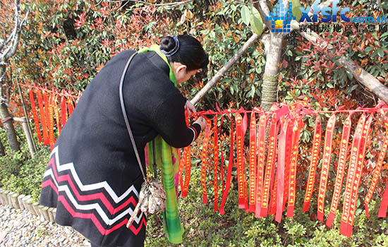 27100933f37a6162611603.jpg IMG_2593.JPG