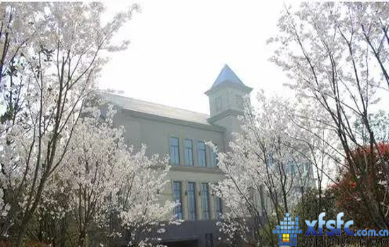 27101748de9a960b8f3962.jpg 2110351816a74c18750505.jpg