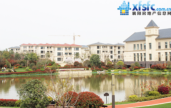 271503389481dfa8309745.jpg IMG_2514.JPG