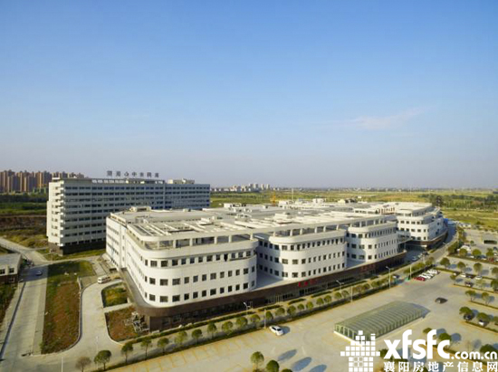 03102605a67cf63c2b7473.jpg 8.jpg