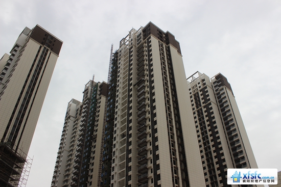 11121728082c2e2a441444.jpg IMG_2923.JPG