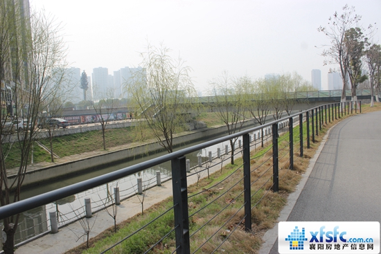 12182808e2f2675a532060.jpg IMG_3927.JPG