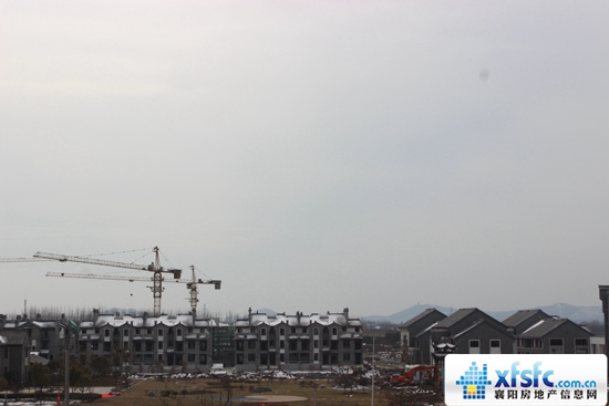 121832245cd6c137e73157.jpg IMG_3362.JPG