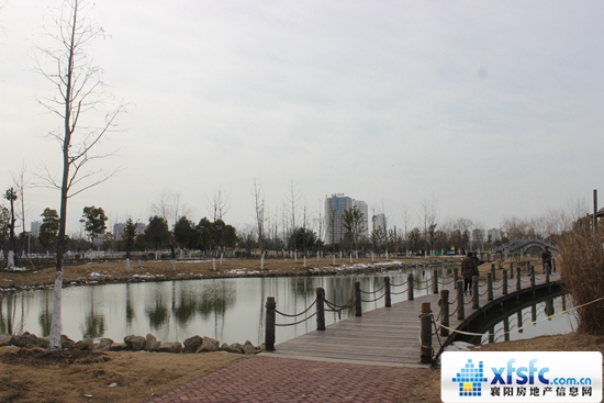 121844266531c358bf1428.jpg IMG_3393.JPG