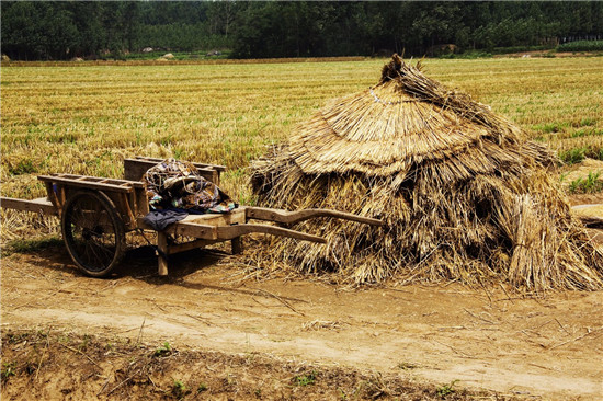 201817425a97591a0a6664.jpg 微信圖片_20180620181540.jpg