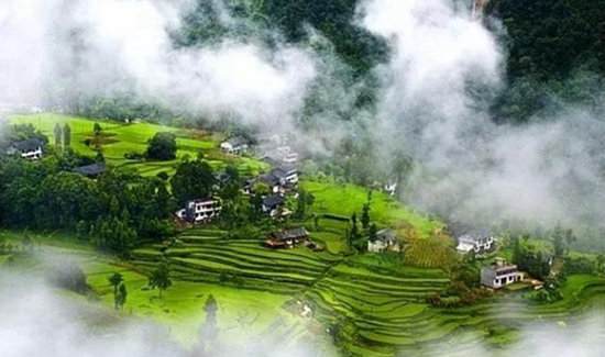 22174249fb161552fd0398.jpg 微信圖片_20180622173107.jpg