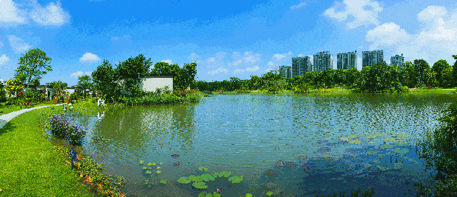 041115322133cac8928620.gif 1.gif