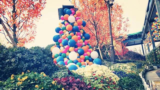 04111742c51bbd4c8e3933.jpg 8.jpg