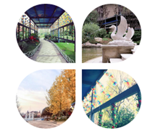 041118532e8a2966655894.png 10.png