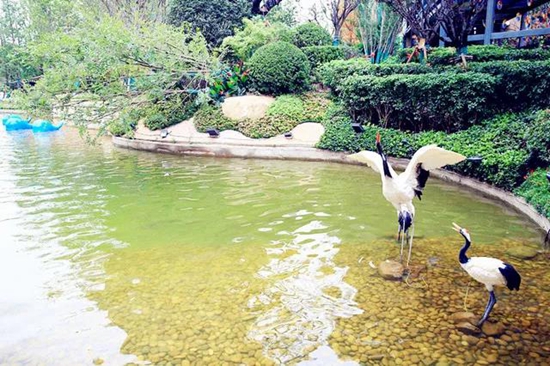 04111919d196e60e131252.jpg 11.jpg