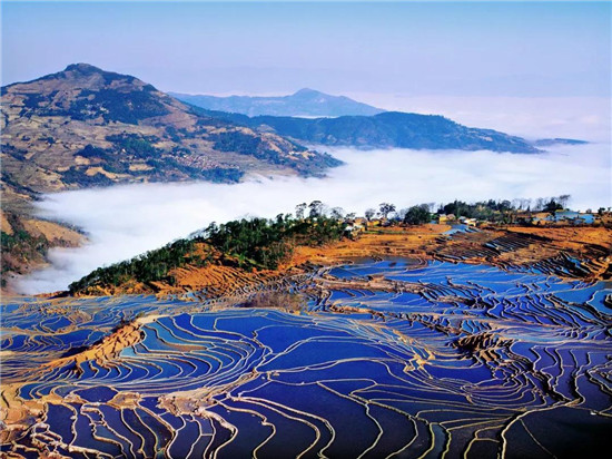 29101030e5caa2a1679928.jpg 微信圖片_20190729100705.jpg