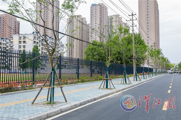 291535049abc386df49574.jpg 2.jpg