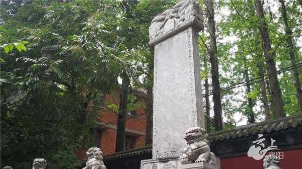 15102629a38889de1a7797.png 20200615_102157_007.png