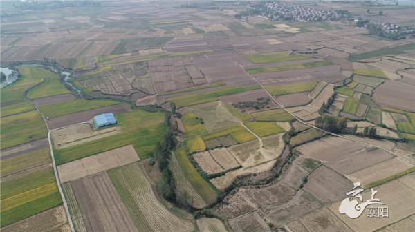 1510271987c535bd334845.png 20200615_102157_009.png