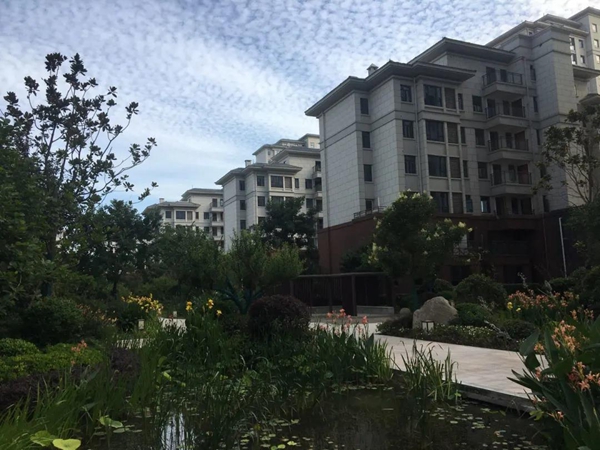 21170529f65109bec24797.jpg 6002.jpg