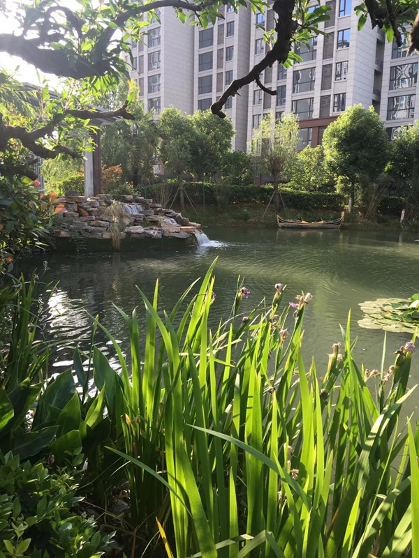 2117053812762b02657532.jpg 6003.jpg