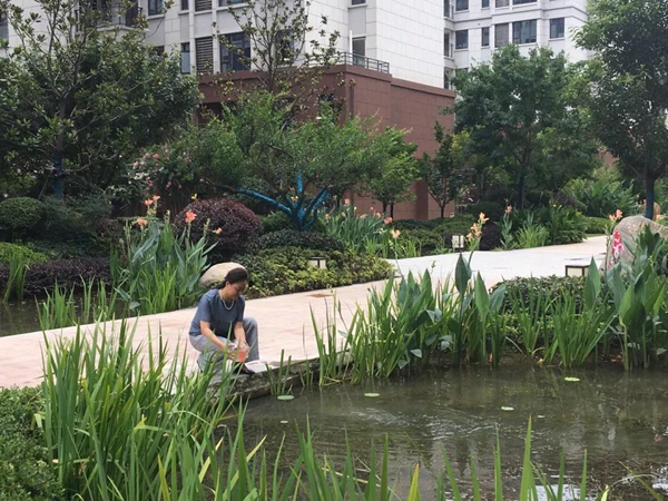 211705473cf7dedd278006.jpg 6004.jpg