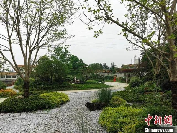 27162209815768ee4b4499.jpg 6005.jpg