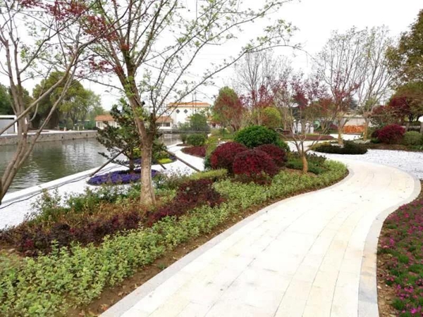 27162232f3d746499b3224.jpg 6007.jpg