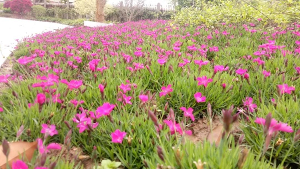 271622408a3bac6c090556.jpg 6008.jpg