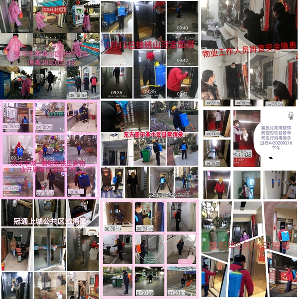 2909215731ec0bcaaf2401.jpg 6002.jpg