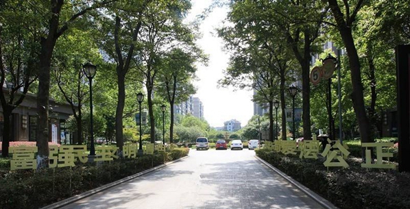 291744214f06c1aaf03795.jpg 6001.jpg