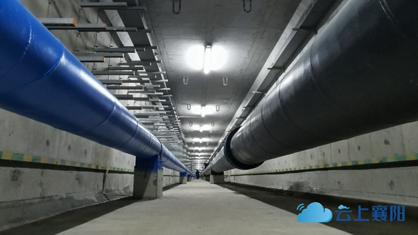 30173958dd74ebc6a77503.jpg 11.jpg