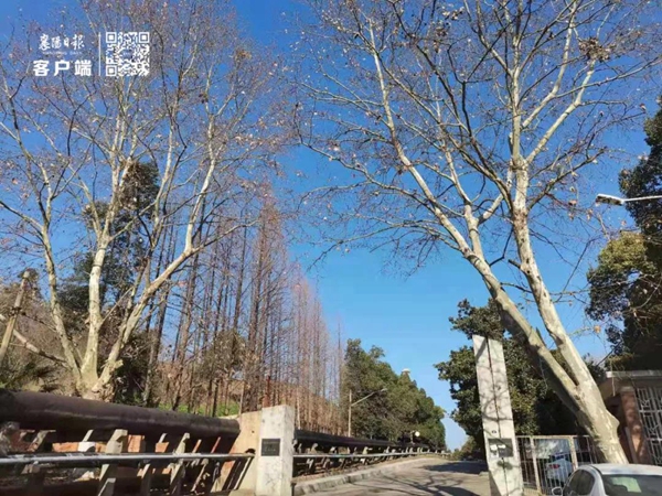 22115526cb52c18df15719.jpg 修改圖14.jpg