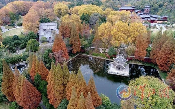 231519509d8a040af31532.jpg 修改圖26.jpg